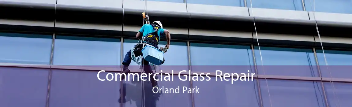 Commercial Glass Repair Orland Park
