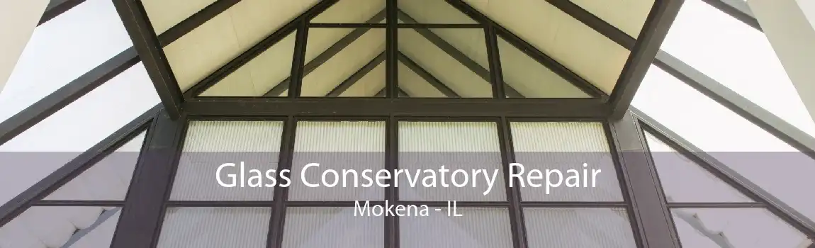 Glass Conservatory Repair Mokena - IL