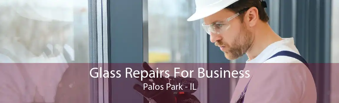 Glass Repairs For Business Palos Park - IL