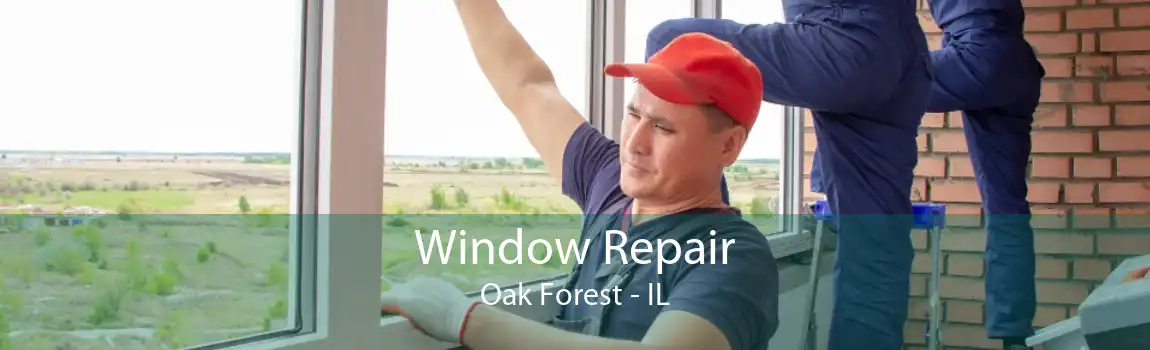 Window Repair Oak Forest - IL