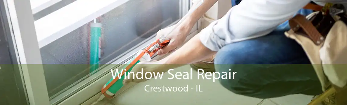 Window Seal Repair Crestwood - IL